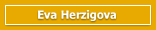 Eva Herzigova